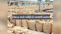 ડાંગર, બાજરી, જુવાર, મકાઈ અને રાગીની આજથી ટેકાના ભાવે ખરીદી, જાણો દરેક વિગત