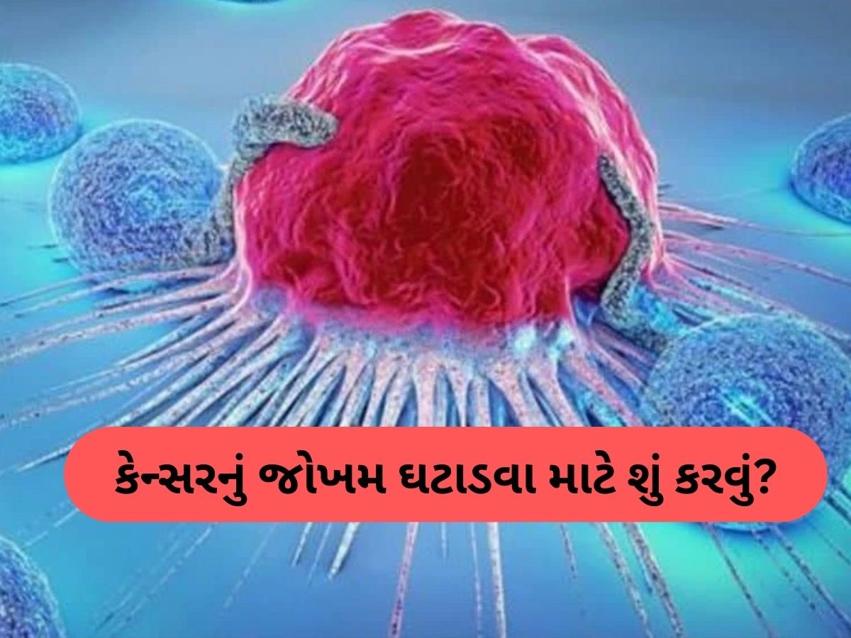 ઘટી જશે કેન્સરનો ખતરો, બસ આ 6 ટિપ્સને તમારા ડેલી રૂટીનમાં કરો સામેલ ઘટી જશે કેન્સરનો ખતરો, બસ આ 6 ટિપ્સને તમારા ડેલી રૂટીનમાં કરો સામેલ