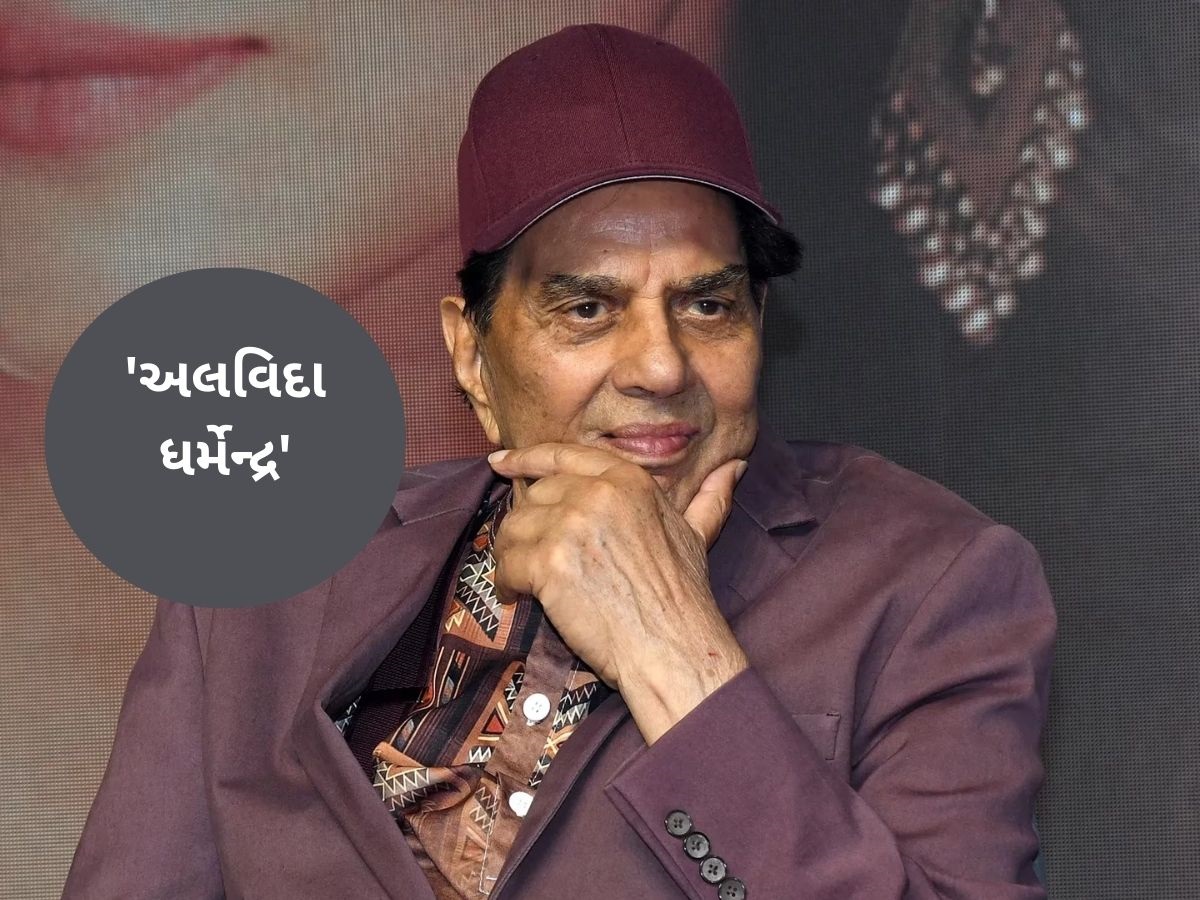 બોલિવૂડના 'હી-મેન' ધર્મેન્દ્રનું 89 વર્ષની વયે નિધન, ફિલ્મ જગતમાં શોકની લહેર! બોલિવૂડના 'હી-મેન' ધર્મેન્દ્રનું 89 વર્ષની વયે નિધન, ફિલ્મ જગતમાં શોકની લહેર!