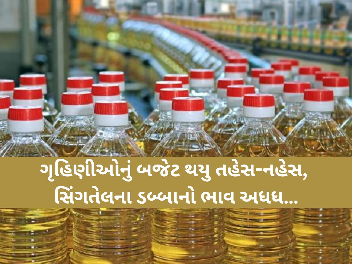 લગ્નની સિઝન ટાણે જ તેલમાં તેજીનો ખેલ શરૂ! સિંગતેલના ભાવમાં આગ ઝરતી તેજી, 15 દિવસમાં વધ્યો જબરો ભાવ! લગ્નની સિઝન ટાણે જ તેલમાં તેજીનો ખેલ શરૂ! સિંગતેલના ભાવમાં આગ ઝરતી તેજી, 15 દિવસમાં વધ્યો જબરો ભાવ!