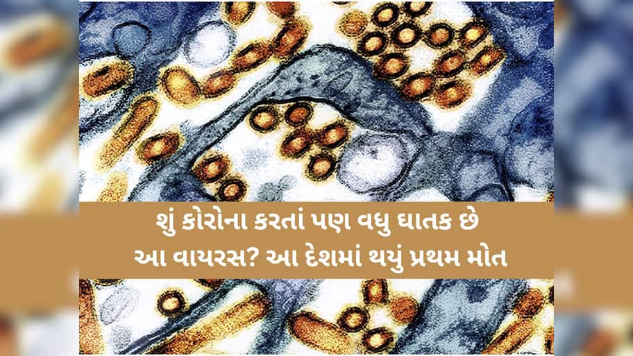 સાવધાન! કોરોના પછી દુનિયામાં વધુ એક નવા જીવલેણ વાયરસની એન્ટ્રી! કેટલા અલગ છે આ રોગના લક્ષણો?
