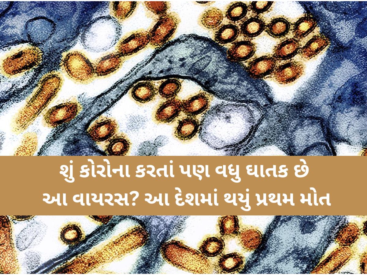 સાવધાન! કોરોના પછી દુનિયામાં વધુ એક નવા જીવલેણ વાયરસની એન્ટ્રી! કેટલા અલગ છે આ રોગના લક્ષણો? સાવધાન! કોરોના પછી દુનિયામાં વધુ એક નવા જીવલેણ વાયરસની એન્ટ્રી! કેટલા અલગ છે આ રોગના લક્ષણો?