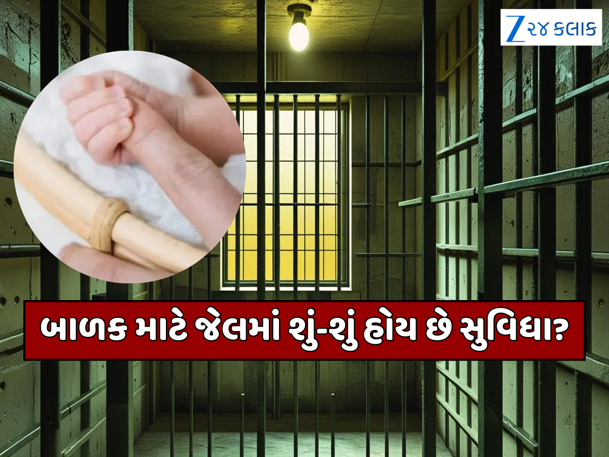 જેલમાં જન્મેલા બાળકનું કેવી રીતે થાય છે પાલન-પોષણ, જેલમાં કેવું હોય છે ક્રેચ? જેલમાં જન્મેલા બાળકનું કેવી રીતે થાય છે પાલન-પોષણ, જેલમાં કેવું હોય છે ક્રેચ?