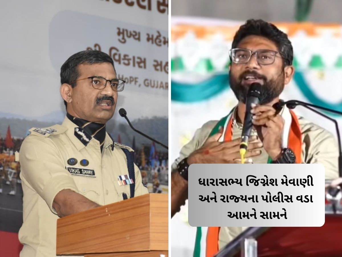 મેવાણીએ ગુજરાતના DGP ને ચોખ્ખેચોખ્ખું સંભળાવી દીધું, તમારુ નામ વિકાસ સહાય છે તો ગુજરાતની જનતાને સહાય કરો મેવાણીએ ગુજરાતના DGP ને ચોખ્ખેચોખ્ખું સંભળાવી દીધું, તમારુ નામ વિકાસ સહાય છે તો ગુજરાતની જનતાને સહાય કરો
