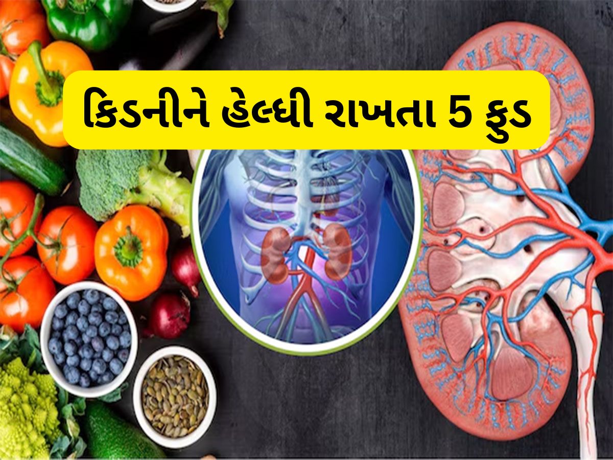Kidney: કિડનીને ફિટફાટ રાખે છે આ 5 વસ્તુઓ, શિયાળામાં ખાશો તો ઈમ્યુનિટી પણ બુસ્ટ થશે Kidney: કિડનીને ફિટફાટ રાખે છે આ 5 વસ્તુઓ, શિયાળામાં ખાશો તો ઈમ્યુનિટી પણ બુસ્ટ થશે