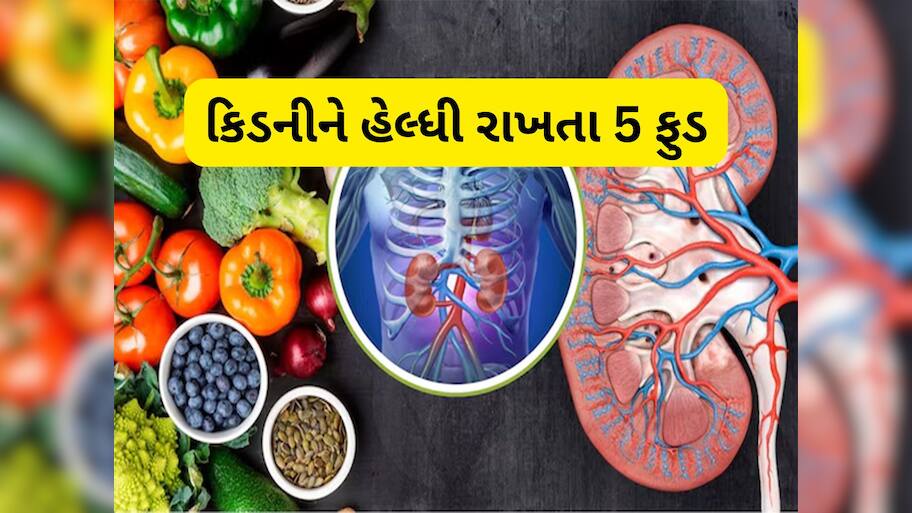 Kidney: કિડનીને ફિટફાટ રાખે છે આ 5 વસ્તુઓ, શિયાળામાં ખાશો તો ઈમ્યુનિટી પણ બુસ્ટ થશે 