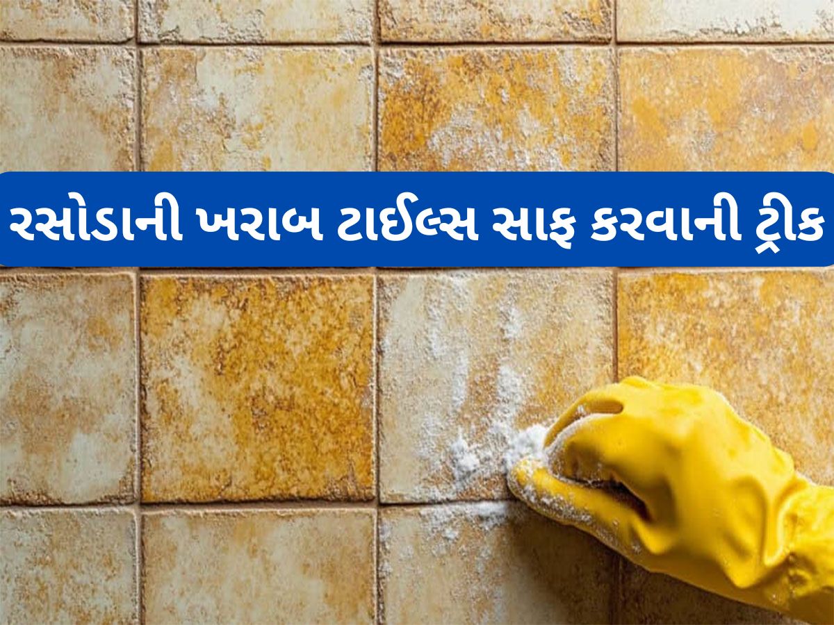 Cleaning Hacks: રસોડાની ટાઈલ્સ પર દેખાતા તેલ-મસાલાના ડાઘ અને ચીકાશ કાઢવાનો સૌથી સરળ રસ્તો, 5 મિનિટમાં ટાઈલ્સ ચમકી જશે Cleaning Hacks: રસોડાની ટાઈલ્સ પર દેખાતા તેલ-મસાલાના ડાઘ અને ચીકાશ કાઢવાનો સૌથી સરળ રસ્તો, 5 મિનિટમાં ટાઈલ્સ ચમકી જશે