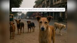 પાળતૂ શ્વાન કે રખડતા કૂતરામાં આ લક્ષણો દેખાય તો તેનાથી દૂર રહેજો, કામની છે આ માહિતી