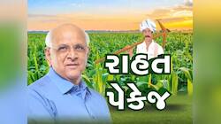 ખેડૂતોના હિતમાં મોટો નિર્ણય : રાહત પેકેજ માટે અરજી કરવાનો સમય લંબાવાયો