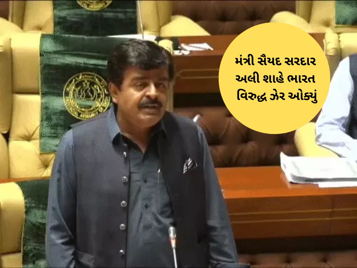 ગુજરાત, હરિયાણા અને રાજસ્થાન અમારું છે...! પાકિસ્તાની નેતાએ ઓક્યું વિવાદોનું ઝેર ગુજરાત, હરિયાણા અને રાજસ્થાન અમારું છે...! પાકિસ્તાની નેતાએ ઓક્યું વિવાદોનું ઝેર