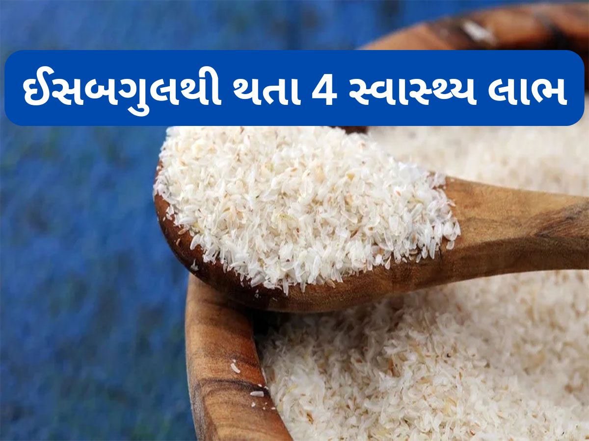 Isabgol: કબજિયાત જ નહીં આ 4 સમસ્યાથી પણ છુટકારો અપાવશે ઈસબગુલ, જાણી લો ખાવાની રીત Isabgol: કબજિયાત જ નહીં આ 4 સમસ્યાથી પણ છુટકારો અપાવશે ઈસબગુલ, જાણી લો ખાવાની રીત