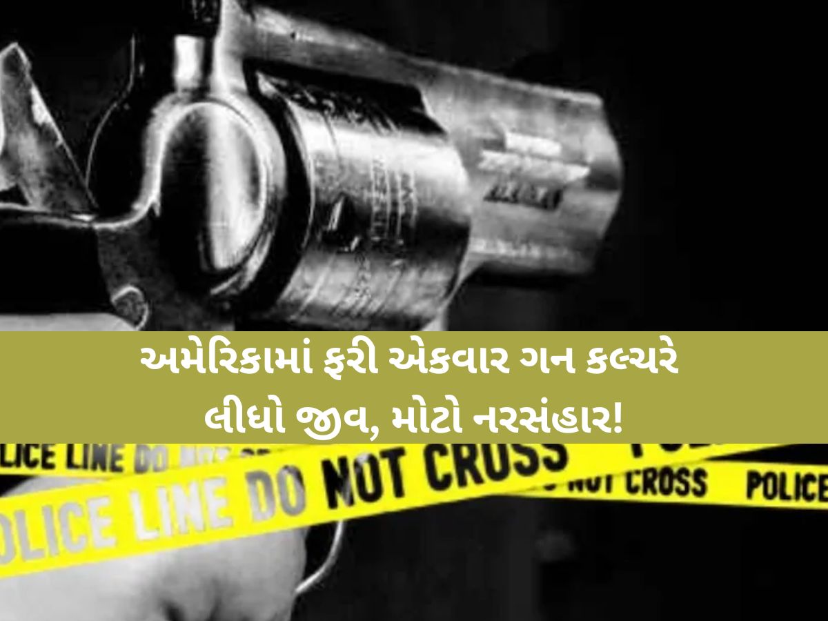US: કેલિફોર્નિયામાં ભીષણ ગોળીબાર, અનેક લોકો ઘાયલ, હુમલાખોરોની શોધખોળમાં પોલીસ US: કેલિફોર્નિયામાં ભીષણ ગોળીબાર, અનેક લોકો ઘાયલ, હુમલાખોરોની શોધખોળમાં પોલીસ
