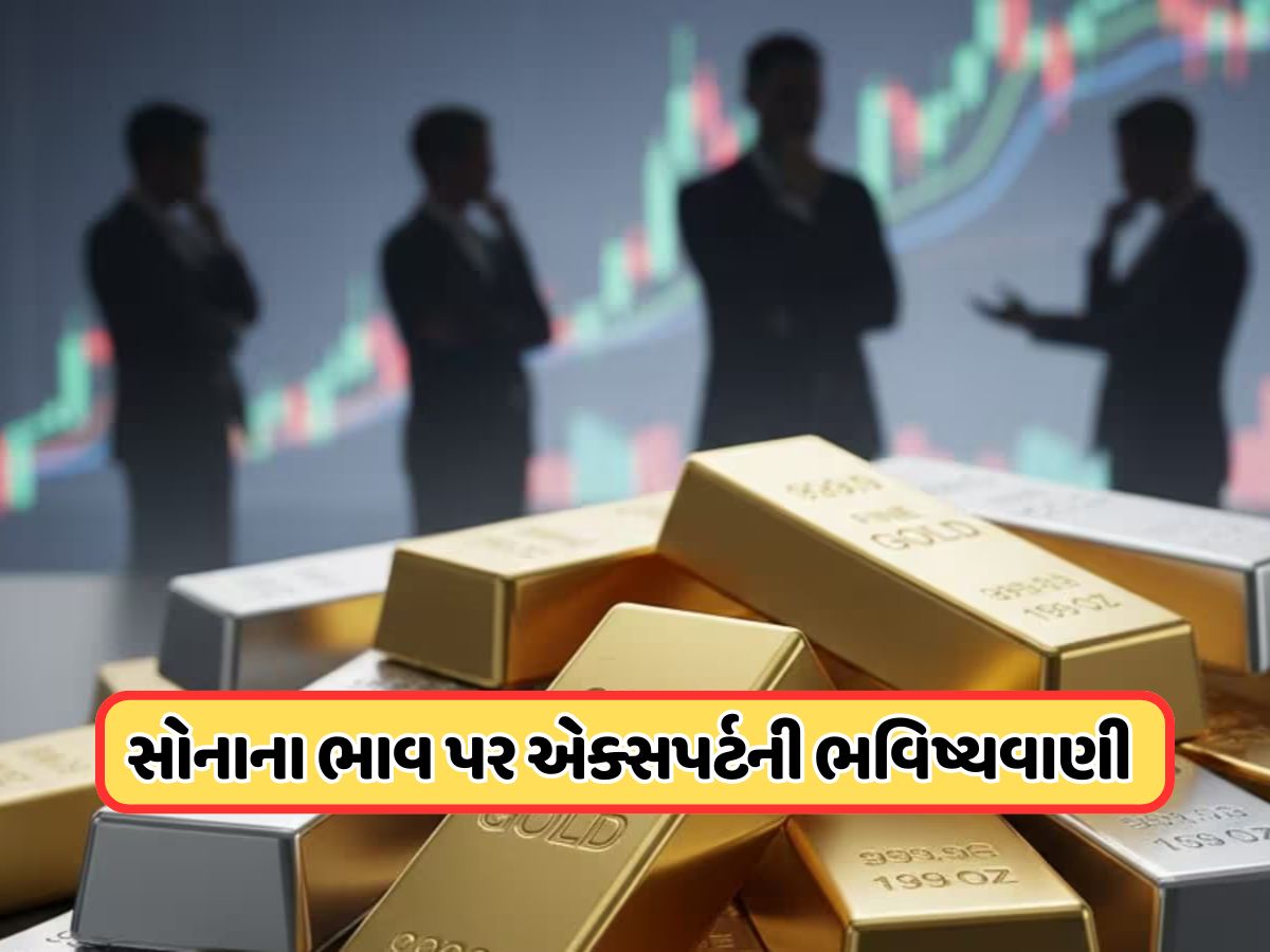 લગ્નની સિઝન શરૂ થતા સોનામાં વધારો, એક્સપર્ટે ભાવને લઈ કરી ડરામણી ભવિષ્યવાણી ! લગ્નની સિઝન શરૂ થતા સોનામાં વધારો, એક્સપર્ટે ભાવને લઈ કરી ડરામણી ભવિષ્યવાણી !