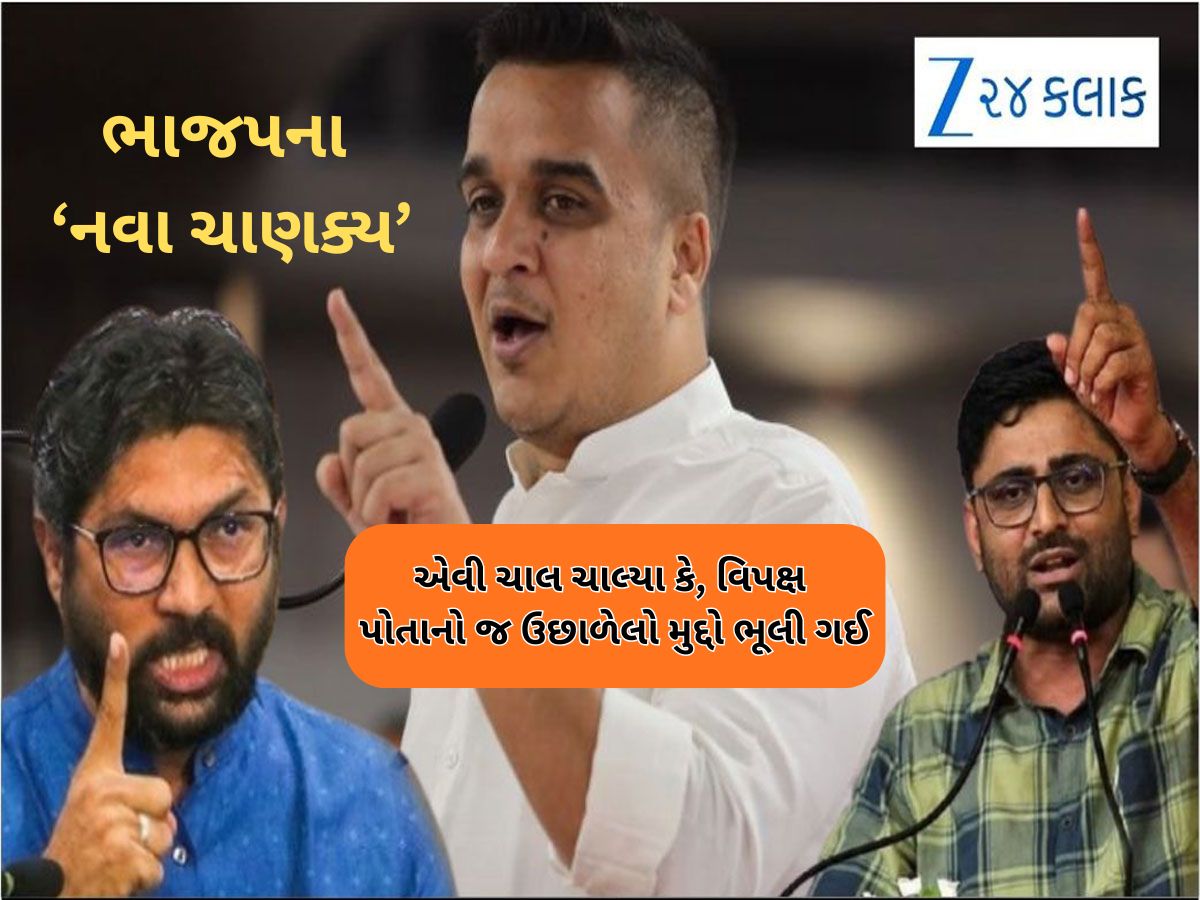 ગોપાલ અને મેવાણીએ ભલે LLB કર્યું હોય, પણ હર્ષ સંઘવીએ રાજકારણમાં PhD કરી છે! ગોપાલ અને મેવાણીએ ભલે LLB કર્યું હોય, પણ હર્ષ સંઘવીએ રાજકારણમાં PhD કરી છે!