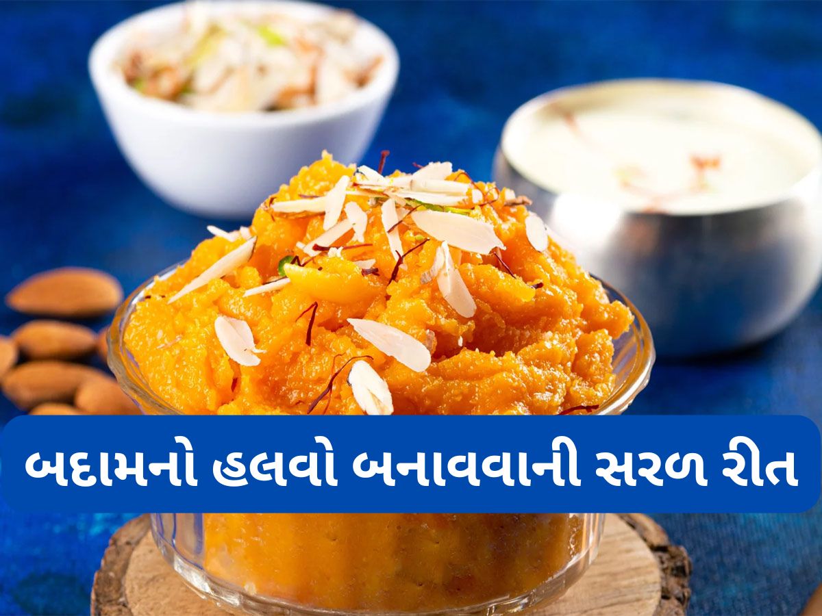 Recipe: ઘરે આ રીતે બનાવો બદામનો હલવો, એક વાટકી બદામથી બનશે અડધો કિલો હલવો Recipe: ઘરે આ રીતે બનાવો બદામનો હલવો, એક વાટકી બદામથી બનશે અડધો કિલો હલવો