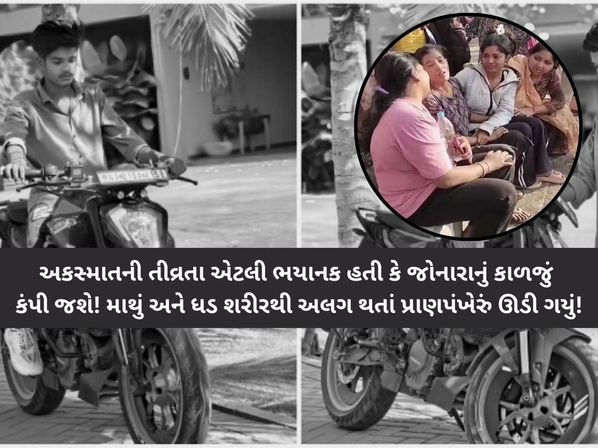 ભયાનક અકસ્માતના CCTV: 'લેલા'ને પ્રેમ કરવો ભારે પડ્યો! સુરતમાં બાઇકરના રોડ પર માંસના લોચા વિખેરાયા! ભયાનક અકસ્માતના CCTV: 'લેલા'ને પ્રેમ કરવો ભારે પડ્યો! સુરતમાં બાઇકરના રોડ પર માંસના લોચા વિખેરાયા!