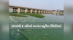 સાબરમતી સહિત ગુજરાતની આ 10 નદીઓ સૌથી પ્રદૂષિત! શુદ્ધિકરણ માટે થયેલો ખર્ચ પાણીમાં!
