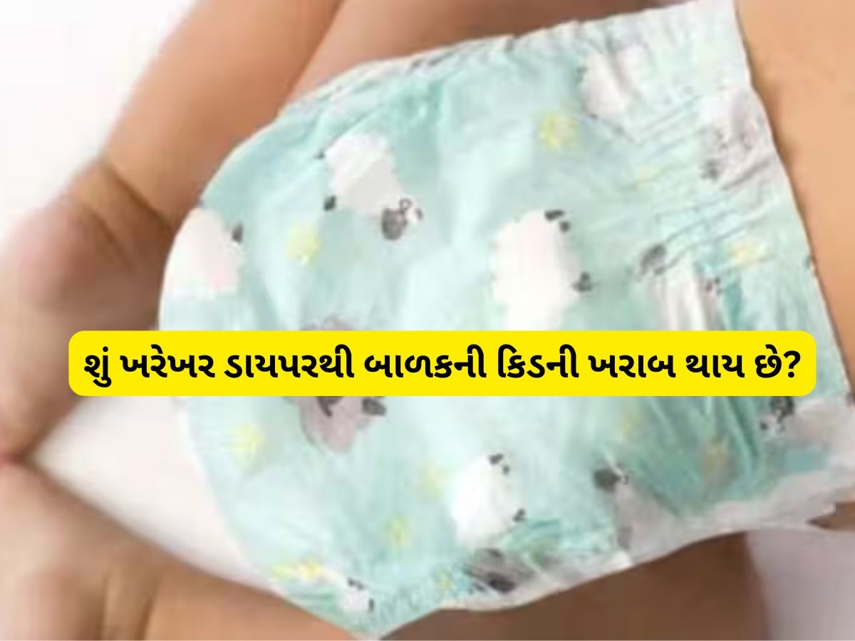શું ડાયપર પહેરવાથી ખરાબ થઈ જાય છે બાળકની કિડની, જાણો આ વાતમાં કેટલું સત્ય છે? શું ડાયપર પહેરવાથી ખરાબ થઈ જાય છે બાળકની કિડની, જાણો આ વાતમાં કેટલું સત્ય છે?