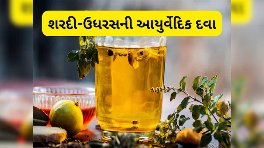 Ayurvedic Kadha: શરદી કે ઉધરસ થાય તો દિવસમાં 2 વાર આ કાઢો પીવો, દવા લેવાની જરૂર નહીં પડે