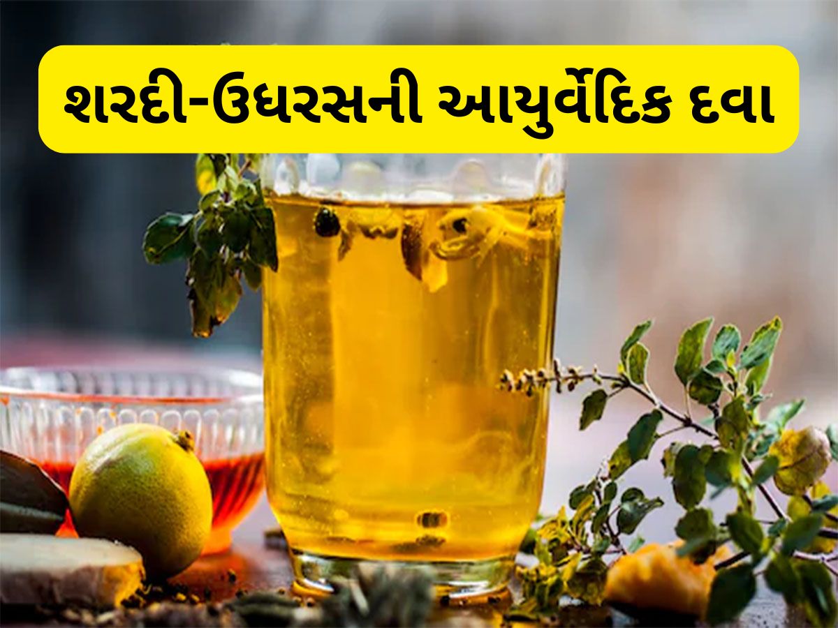 Ayurvedic Kadha: શરદી કે ઉધરસ થાય તો દિવસમાં 2 વાર આ કાઢો પીવો, દવા લેવાની જરૂર નહીં પડે Ayurvedic Kadha: શરદી કે ઉધરસ થાય તો દિવસમાં 2 વાર આ કાઢો પીવો, દવા લેવાની જરૂર નહીં પડે