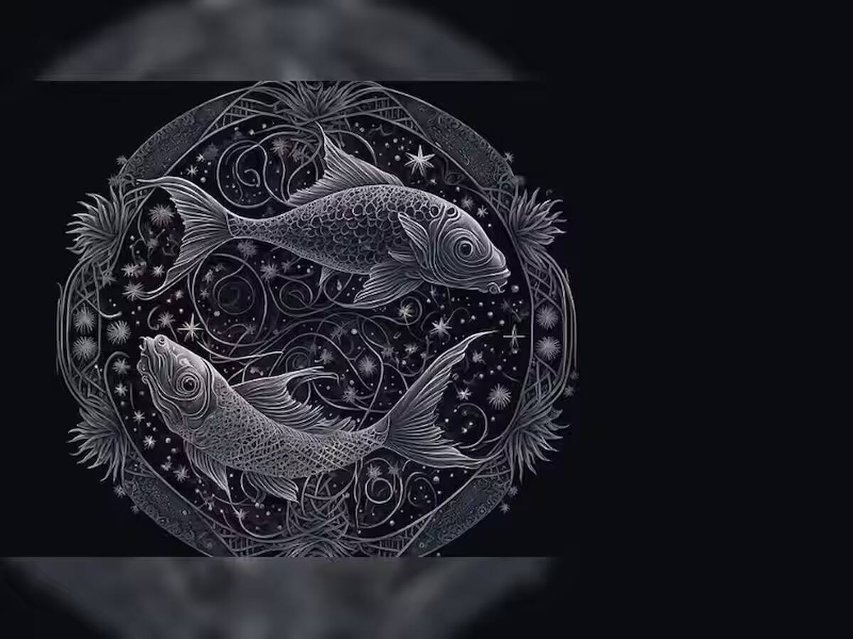મીન રાશિ