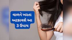 Hair Fall: આ 3 વાતોનું ધ્યાન રાખી લીધું તો શિયાળામાં નહીં ખરે એક પણ વાળ