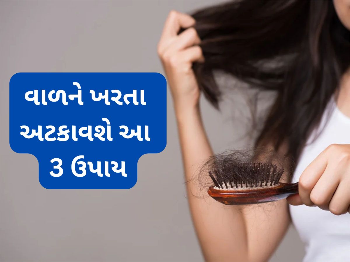 Hair Fall: આ 3 વાતોનું ધ્યાન રાખી લીધું તો શિયાળામાં નહીં ખરે એક પણ વાળ Hair Fall: આ 3 વાતોનું ધ્યાન રાખી લીધું તો શિયાળામાં નહીં ખરે એક પણ વાળ