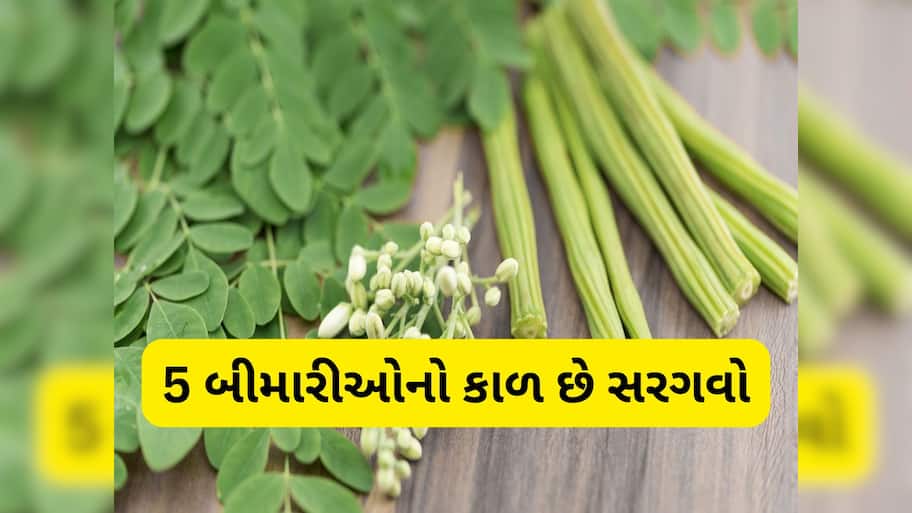 Moringa Benefits: 5 બીમારીઓનો કાળ છે સરગવાની શીંગ અને પાન, વર્ષો જુની તકલીફોથી પણ મુક્તિ મળી શકે 