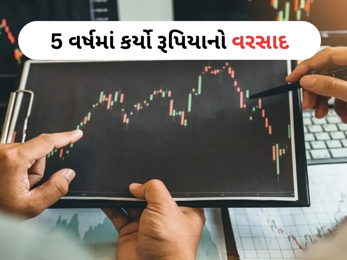 ગજબઃ 50 પૈસાના સ્ટોકે આપ્યું 59000% નું રિટર્ન, 1 લાખના બન્યા 5.96 કરોડ ગજબઃ 50 પૈસાના સ્ટોકે આપ્યું 59000% નું રિટર્ન, 1 લાખના બન્યા 5.96 કરોડ