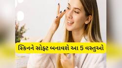 શિયાળામાં સ્કિન પર લગાડી શકો છો આ 5 વસ્તુઓ, ફાટેલી અને ડ્રાઈ સ્કિન થઈ જશે બેબી સોફ્ટ
