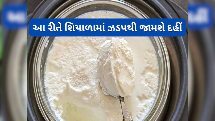 Cooking Tips: કડકડતી ઠંડીમાં પણ ઝડપથી જામશે મલાઈદાર દહીં, બસ અપનાવી લો 2 સિંપલ ટ્રિક