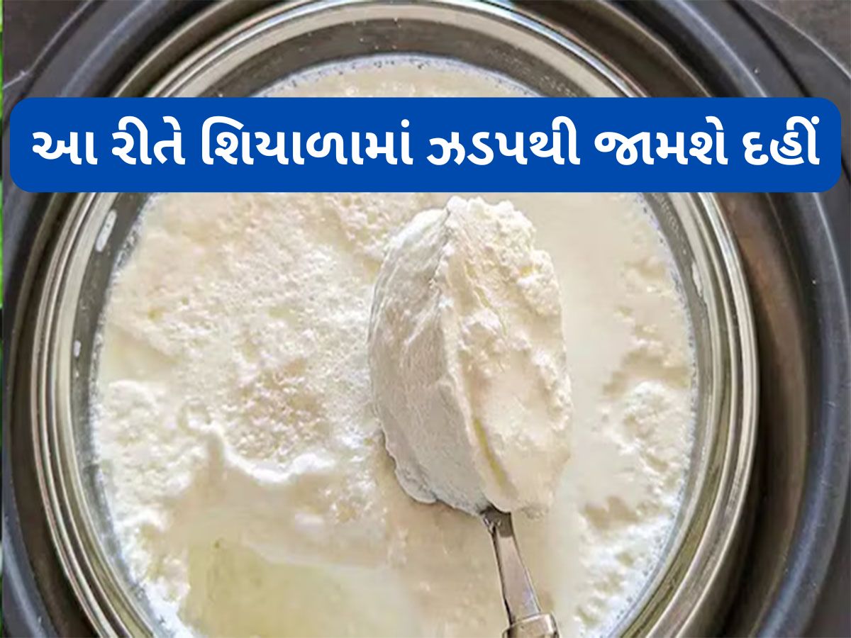 Cooking Tips: કડકડતી ઠંડીમાં પણ ઝડપથી જામશે મલાઈદાર દહીં, બસ અપનાવી લો 2 સિંપલ ટ્રિક Cooking Tips: કડકડતી ઠંડીમાં પણ ઝડપથી જામશે મલાઈદાર દહીં, બસ અપનાવી લો 2 સિંપલ ટ્રિક