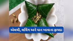 ખરાબ થયેલા વાળ અને સ્કિનની હાલત સુધારવા આ રીતે યુઝ કરો નાગરવેલનું પાન અને એલચી-લવિંગ