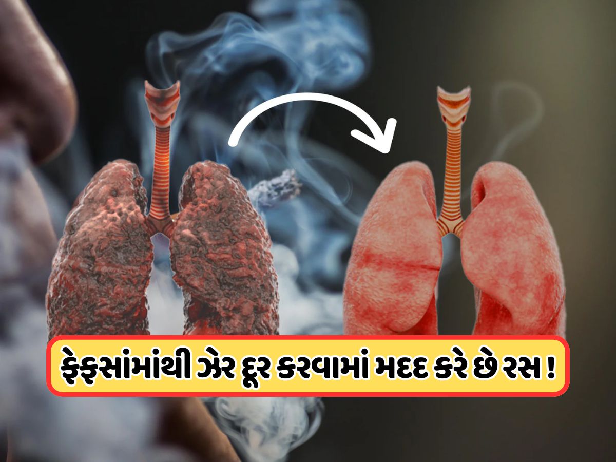 સિગરેટ પીનારાઓ માટે રામબાણ છે આ જ્યુસ, ફેફસાંને નહીં થવા દે ખરાબ ! સિગરેટ પીનારાઓ માટે રામબાણ છે આ જ્યુસ, ફેફસાંને નહીં થવા દે ખરાબ !