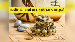 અમીરોના ઘરમાં હોય છે આ 5 વસ્તુઓ, તમે પણ રાખી લો, માં લક્ષ્મીની કૃપા વરસવા લાગશે