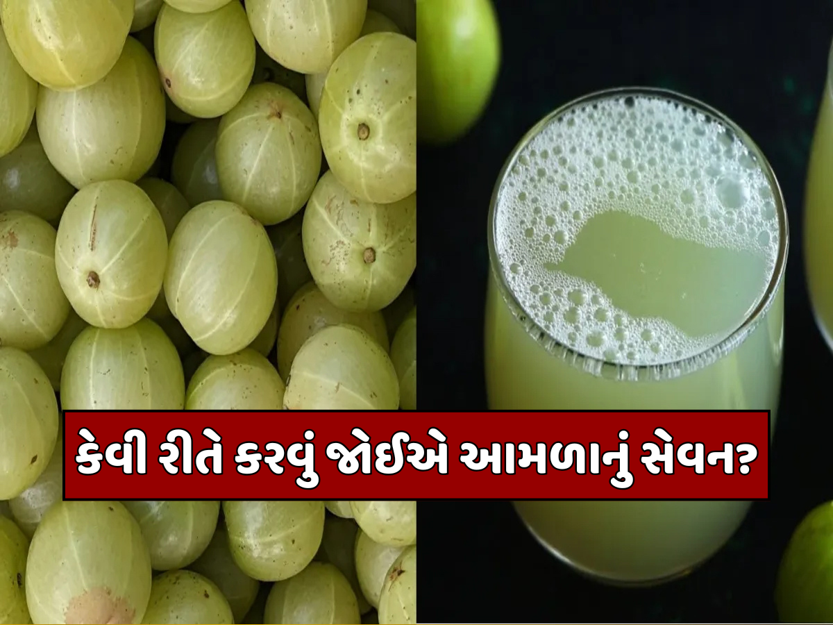 કાચા આમળા કે આમળાનું જ્યુસ, રોજ કોનું સેવન કરવું સ્વાસ્થ્ય માટે વધુ ફાયદાકારક? જાણો કાચા આમળા કે આમળાનું જ્યુસ, રોજ કોનું સેવન કરવું સ્વાસ્થ્ય માટે વધુ ફાયદાકારક? જાણો