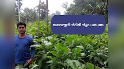 આ શાકભાજીની ખેતી કરી માલામાલ થયો ખેડૂત, એક એકરમાં કરી ₹5 લાખની કમાણી