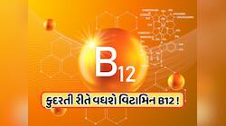 Vitamin B12નો ભંડાર છે આ વસ્તુ, ન્યૂટ્રિશનિસ્ટ કહ્યું: દરરોજ માત્ર એક ચમચી ખાવાથી શ