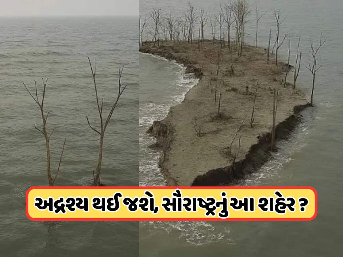 નવા રિપોર્ટમાં ચોકાવનારો ખુલાસો ! ગુજરાતના આ શહેરને ઘેરી લેશે સમુદ્રનું પાણી, બહુ ઓછો સમય છે બાકી