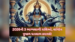 વર્ષ 2026માં આ 3 રાશિવાળા પર રહેશે શનિદેવની અઢળક કૃપા, ધન-સંપત્તિમાં બંપર વધારો થશે