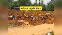 ગુજરાતમાં મળતિયાઓને કમાણી કરાવતી યોજના બની મનરેગા : શું 22 લાખ મજૂર નકલી હતા!