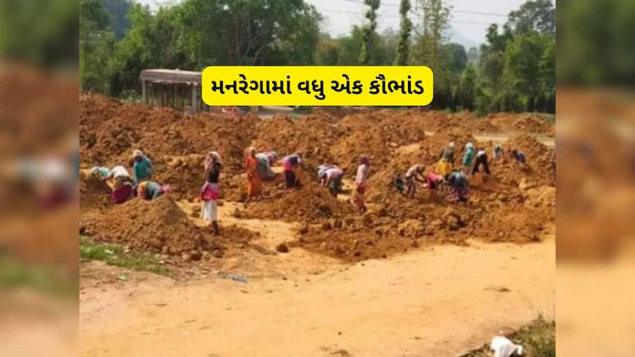 ગુજરાતમાં મળતિયાઓને કમાણી કરાવતી યોજના બની મનરેગા : શું 22 લાખ મજૂર નકલી હતા!