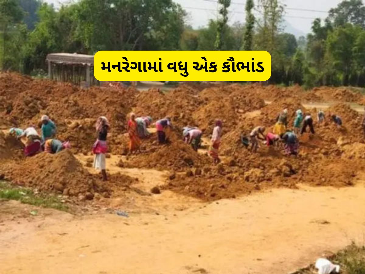 ગુજરાતમાં મળતિયાઓને કમાણી કરાવતી યોજના બની મનરેગા : શું 22 લાખ મજૂર નકલી હતા! ગુજરાતમાં મળતિયાઓને કમાણી કરાવતી યોજના બની મનરેગા : શું 22 લાખ મજૂર નકલી હતા!