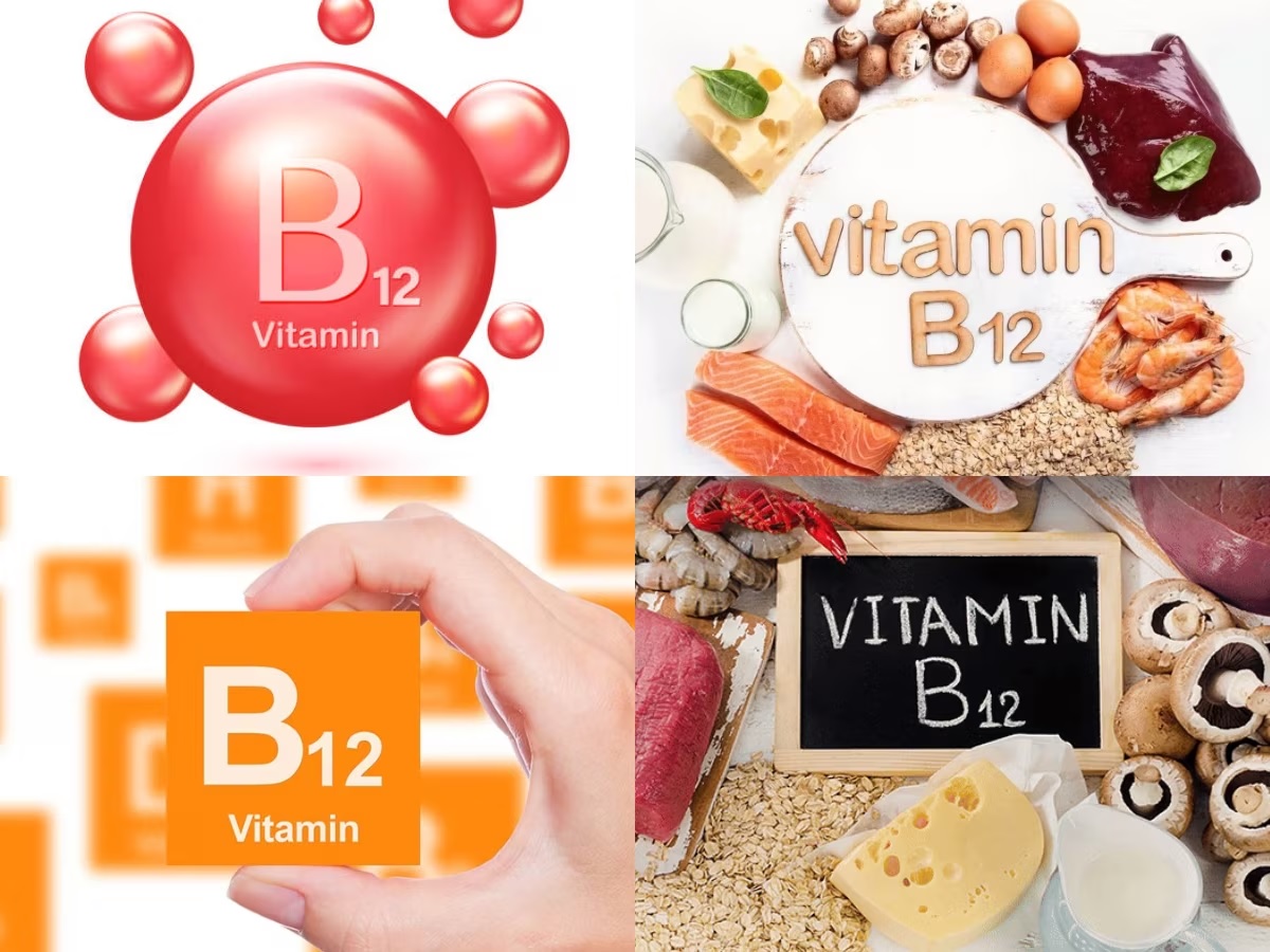 શરીરમાં રોકેટ ગતિએ વધશે વિટામિન B12, બસ દરરોજ પીવો આ દાળનું પાણી શરીરમાં રોકેટ ગતિએ વધશે વિટામિન B12, બસ દરરોજ પીવો આ દાળનું પાણી