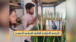 ગુજરાતી દંપતીએ કરી અનોખી વસ્તુની ખેતી, મણનો ભાવ છે 1 કરોડ 60 લાખ રૂપિયા