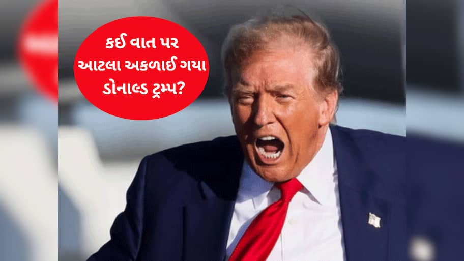 ડોનાલ્ડ ટ્રમ્પે ત્રીજા વિશ્વયુદ્ધનો આપી દીધો સંકેત! રશિયા-યુક્રેન યુદ્ધ મુદ્દે ગુસ્સામાં શું બોલ્યા?