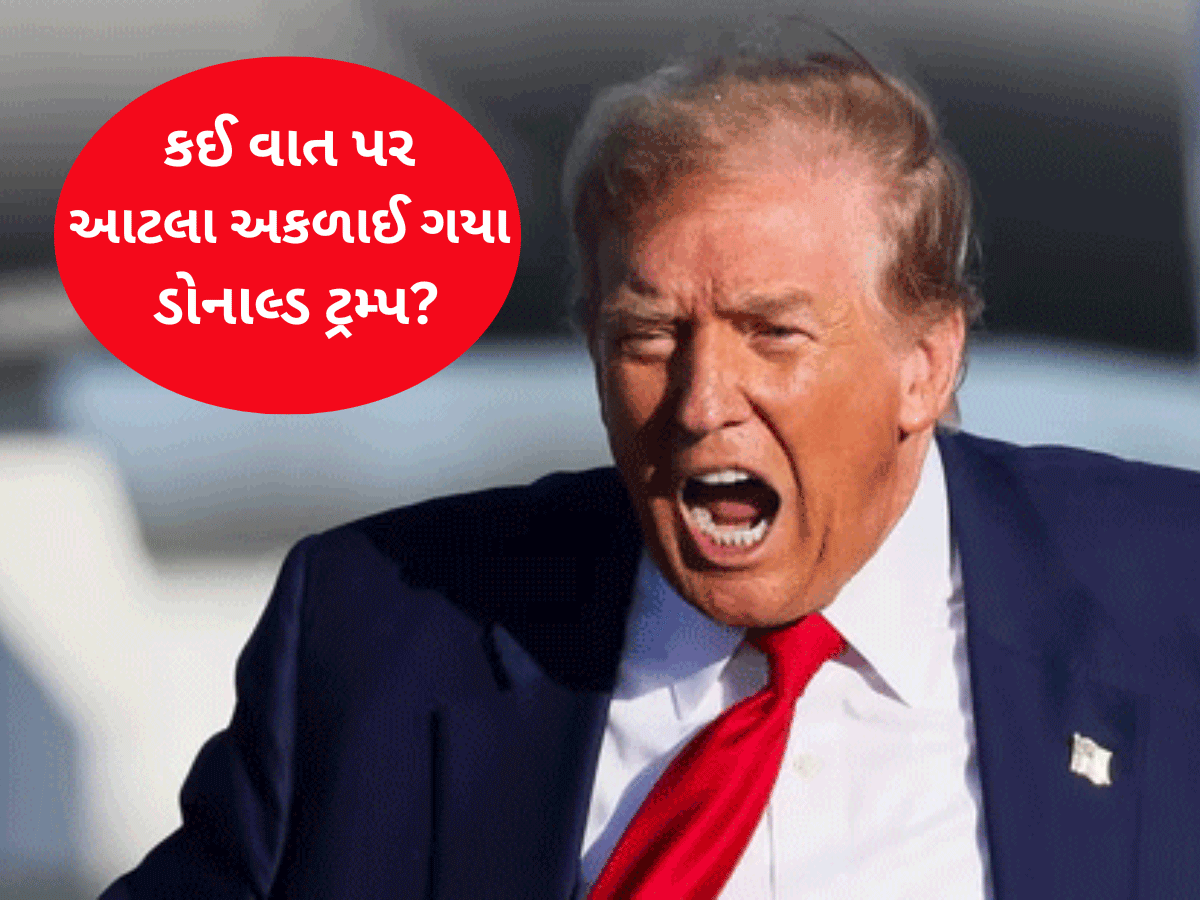 ડોનાલ્ડ ટ્રમ્પે ત્રીજા વિશ્વયુદ્ધનો આપી દીધો સંકેત! રશિયા-યુક્રેન યુદ્ધ મુદ્દે ગુસ્સામાં શું બોલ્યા? ડોનાલ્ડ ટ્રમ્પે ત્રીજા વિશ્વયુદ્ધનો આપી દીધો સંકેત! રશિયા-યુક્રેન યુદ્ધ મુદ્દે ગુસ્સામાં શું બોલ્યા?