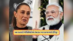 મેક્સિકોએ ભારત પર કેમ લગાવ્યો ટેરિફ, તેનાથી કયા ક્ષેત્રને સૌથી વધુ થશે નુકસાન ? જાણો