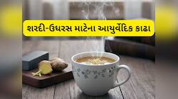 Ayurvedic Kadha: શરદી, ઉધરસ, કફથી તુરંત રાહત આપે એવા 5 આયુર્વેદિક કાઢા