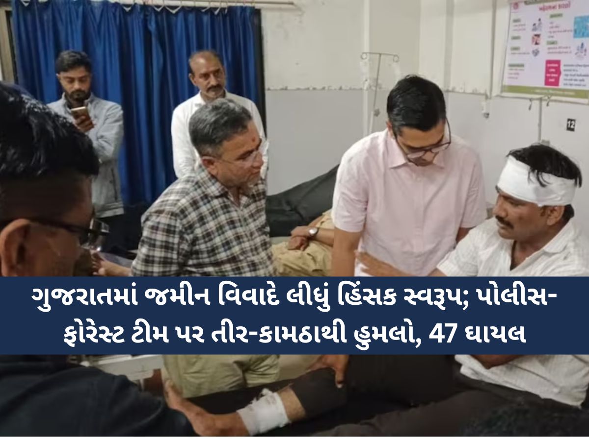 અંબાજીમાં પોલીસ-ફોરેસ્ટ ટીમ પર તીર-કામઠાથી જીવલેણ હુમલો, PIની હાલત ગંભીર; 47 જવાન ઘાયલ અંબાજીમાં પોલીસ-ફોરેસ્ટ ટીમ પર તીર-કામઠાથી જીવલેણ હુમલો, PIની હાલત ગંભીર; 47 જવાન ઘાયલ